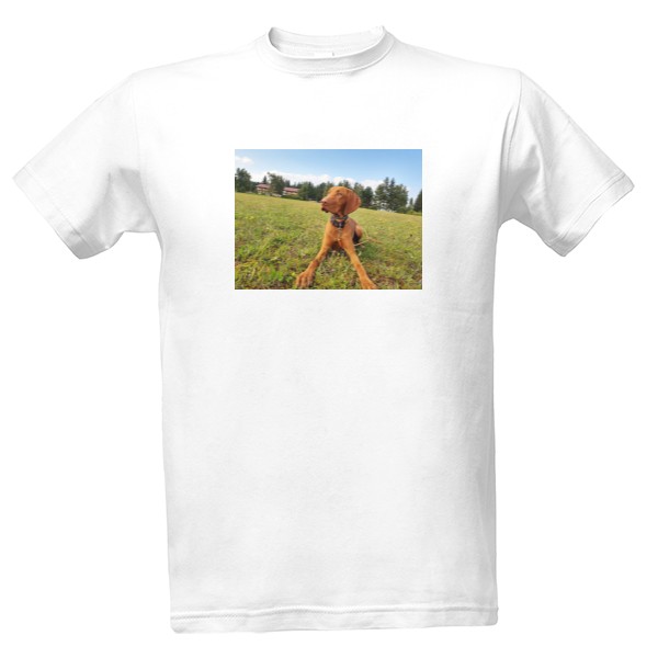 Tričko s potiskem Pánské tričko s vizslou 2