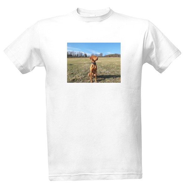 Tričko s potiskem Pánské tričko s vizslou 3