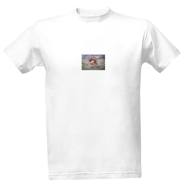 Tričko s potiskem Pánské tričko s vizslou 5