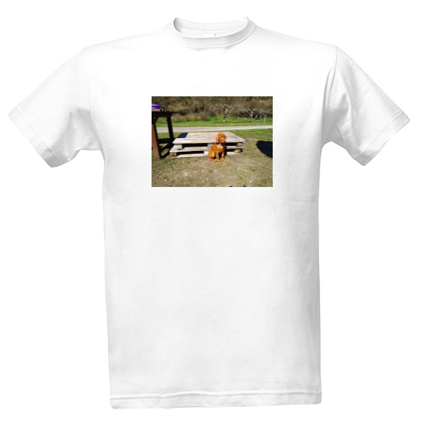 Tričko s potiskem Pánské tričko s vizslou 7