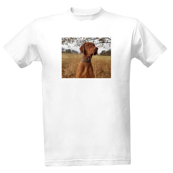 Tričko s potiskem Pánské tričko s vizslou 8